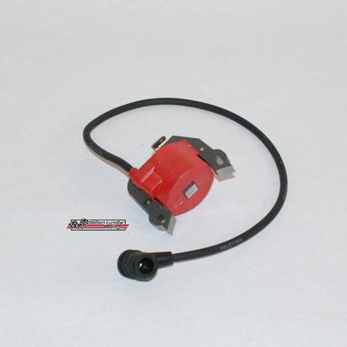 Iame NorSwift coil Mini
